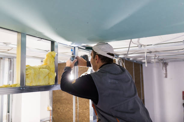 Best Eco-Friendly Insulation in Lafayette, IN